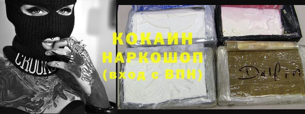 индика Абаза
