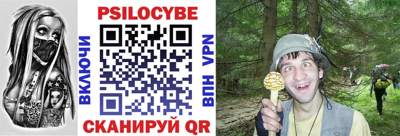 Галлюциногенные грибы MAGIC MUSHROOMS  где найти наркотики  Каменногорск 